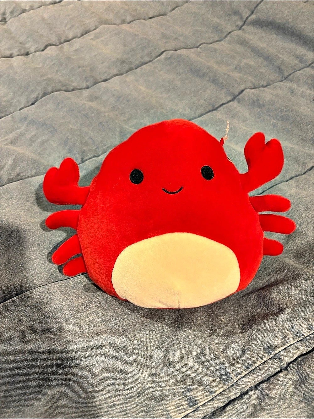 Squishmallows Carlos Red & Cream Crab Plush NWT 8”